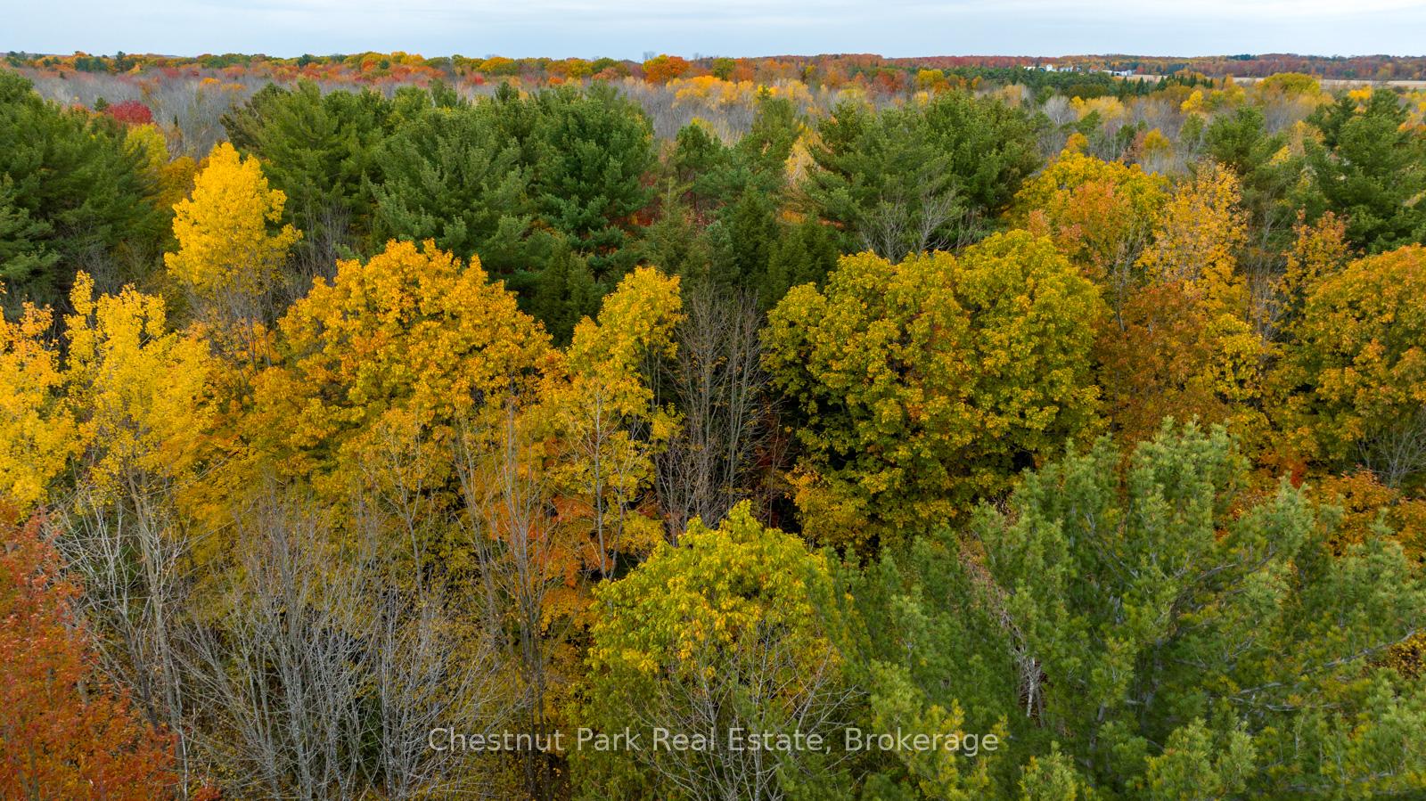 Photo 14 of PT LT 18 Concession 13 W, Tiny, Rural Tiny — HOMEH