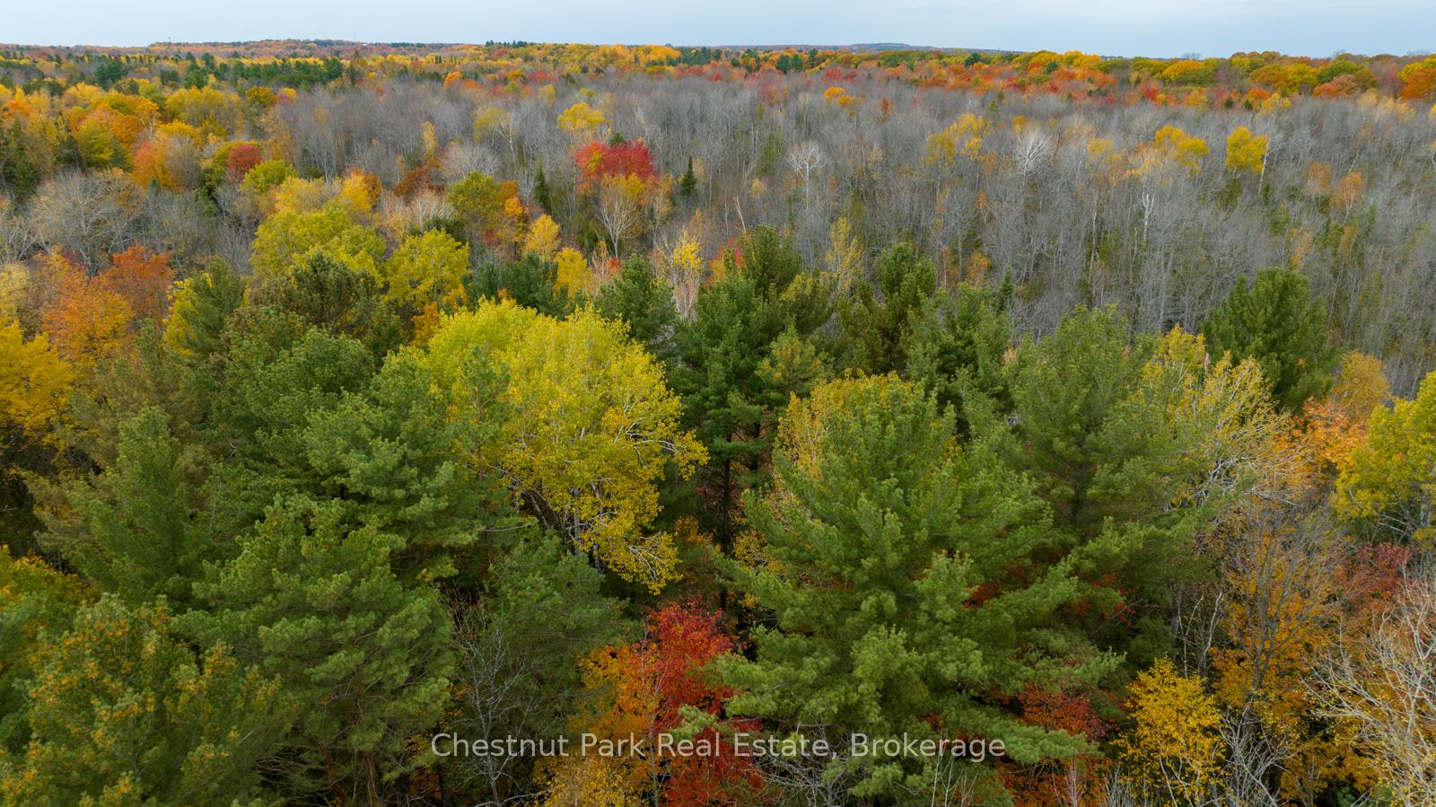 Photo 15 of PT LT 18 Concession 13 W, Tiny, Rural Tiny — HOMEH