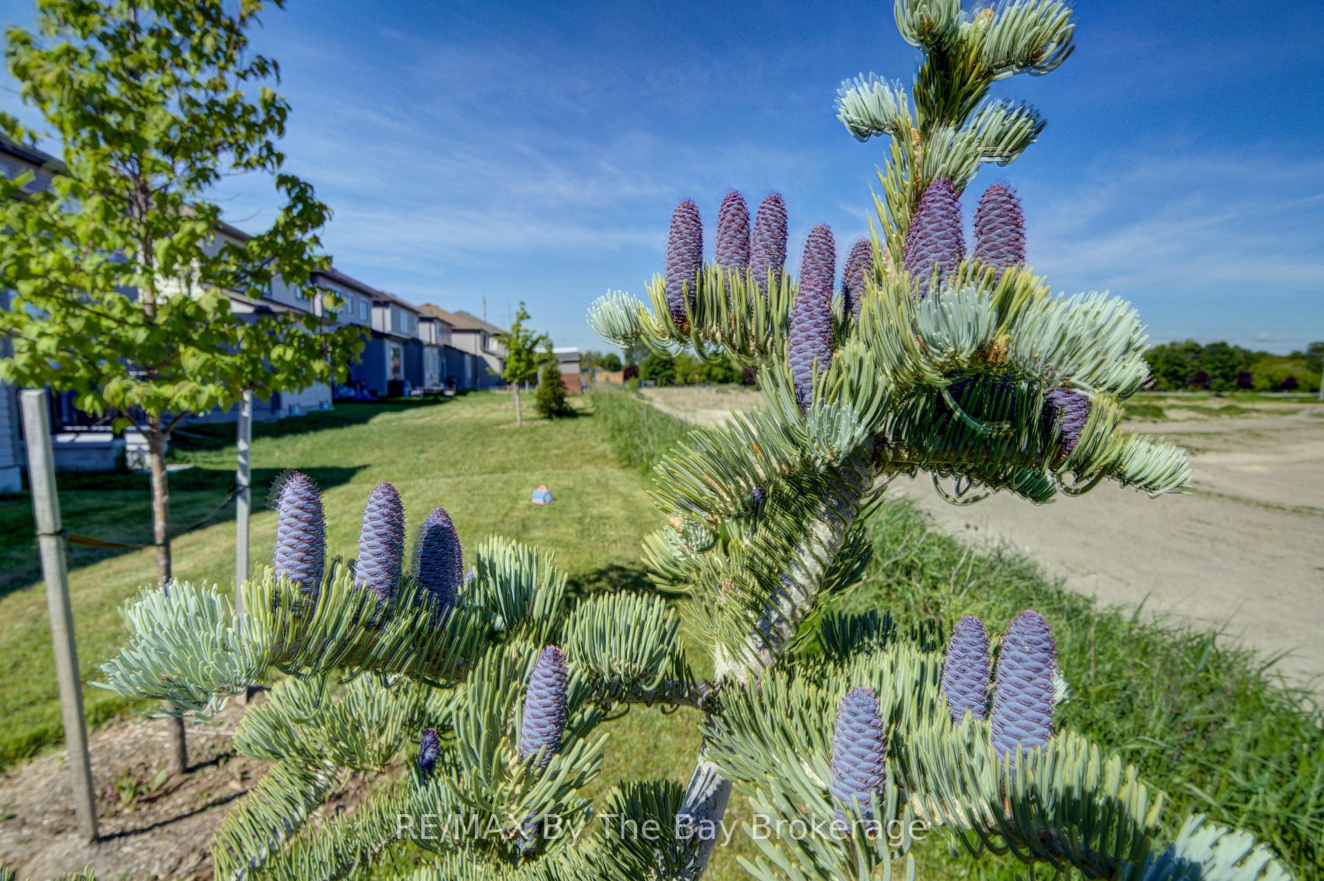 Photo 40 of 15 Union Boulevard, Wasaga Beach — HOMEH