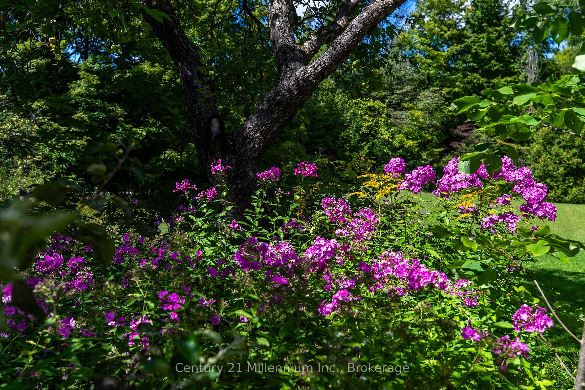 Photo 13 of 425005 Irish Lake Road, Grey Highlands — HOMEH