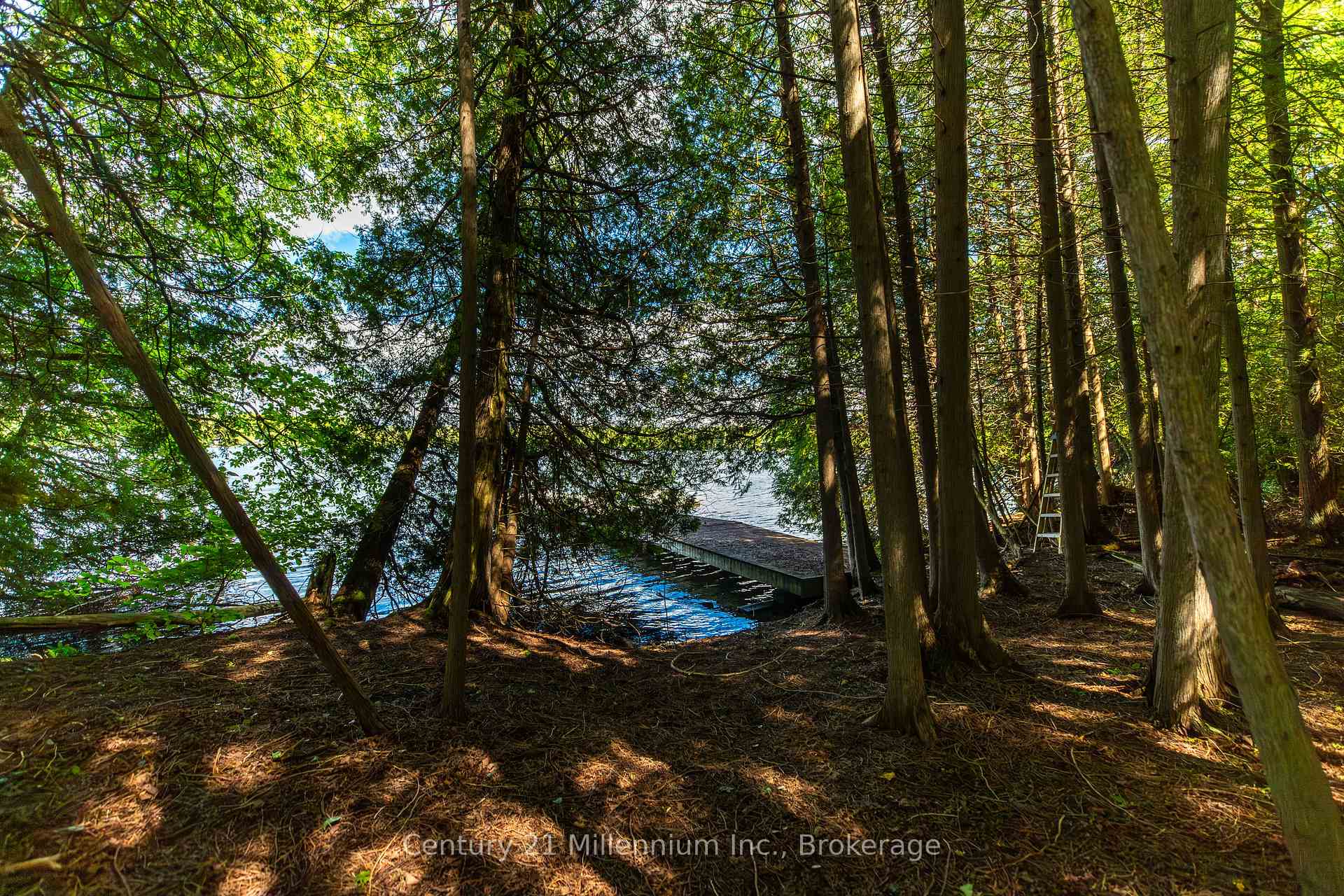 Photo 14 of 425005 Irish Lake Road, Grey Highlands — HOMEH