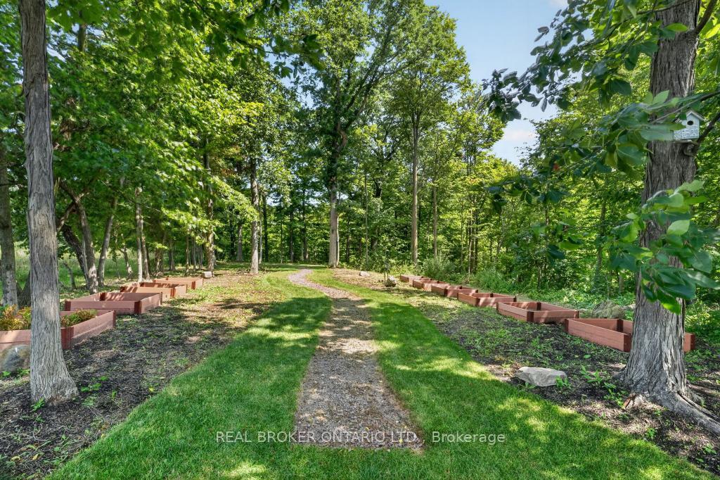 Photo 19 of 3169 King Street, Lincoln, Lincoln-Jordan/Vineland — HOMEH