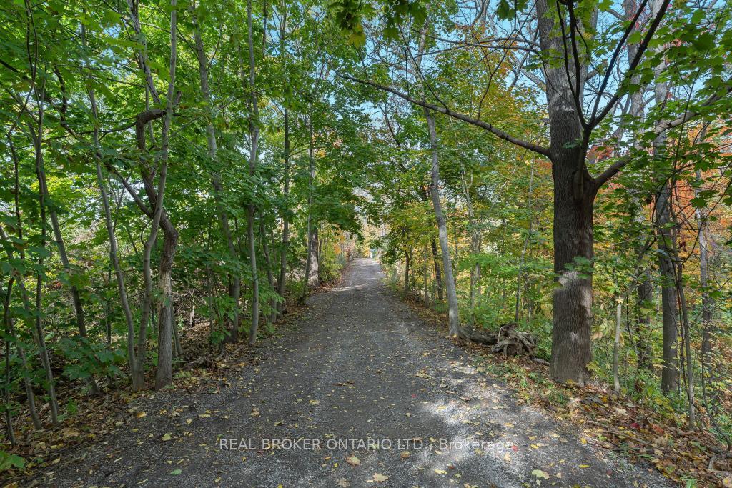 Photo 21 of 3169 King Street, Lincoln, Lincoln-Jordan/Vineland — HOMEH
