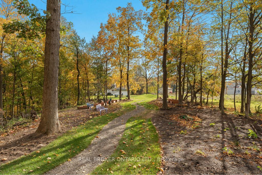 Photo 99 of 3169 King Street, Lincoln, Lincoln-Jordan/Vineland — HOMEH
