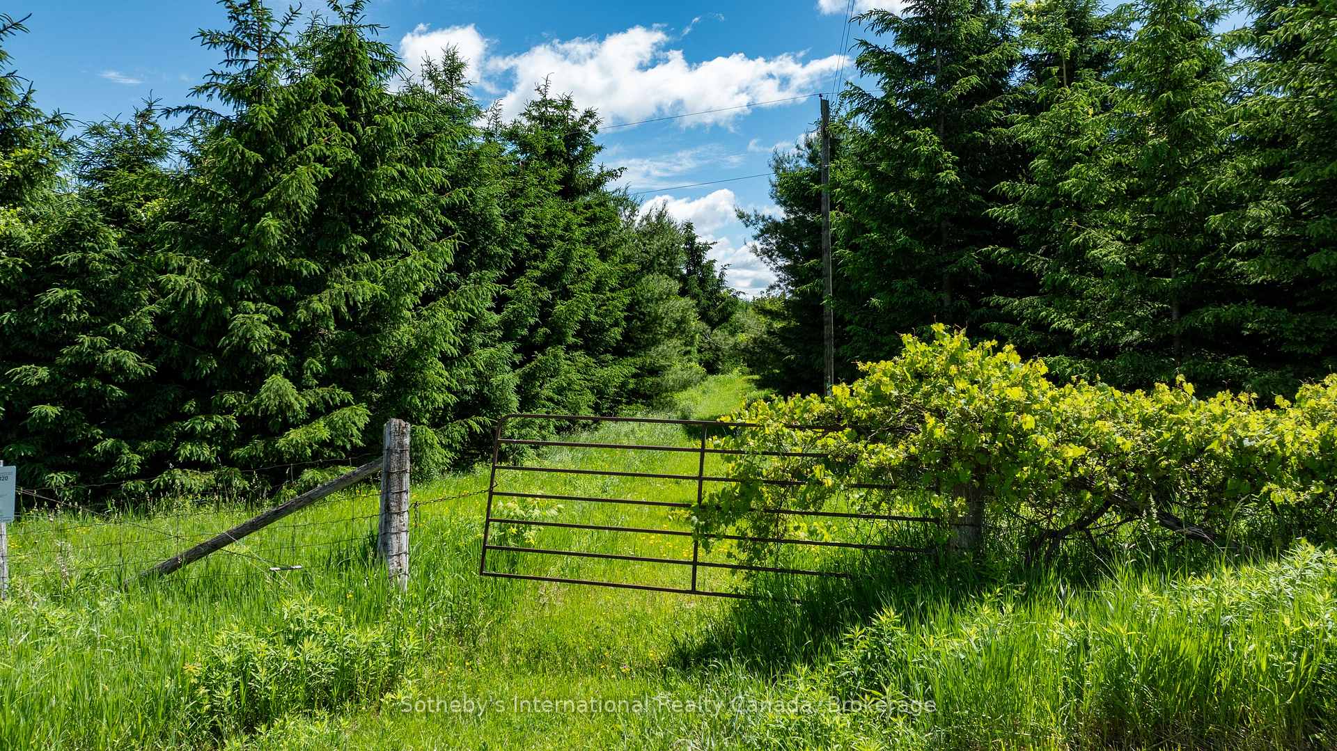 Photo 2 of Lot 14 Con 2 1st Line E EHS, Mulmur, Rural Mulmur — HOMEH