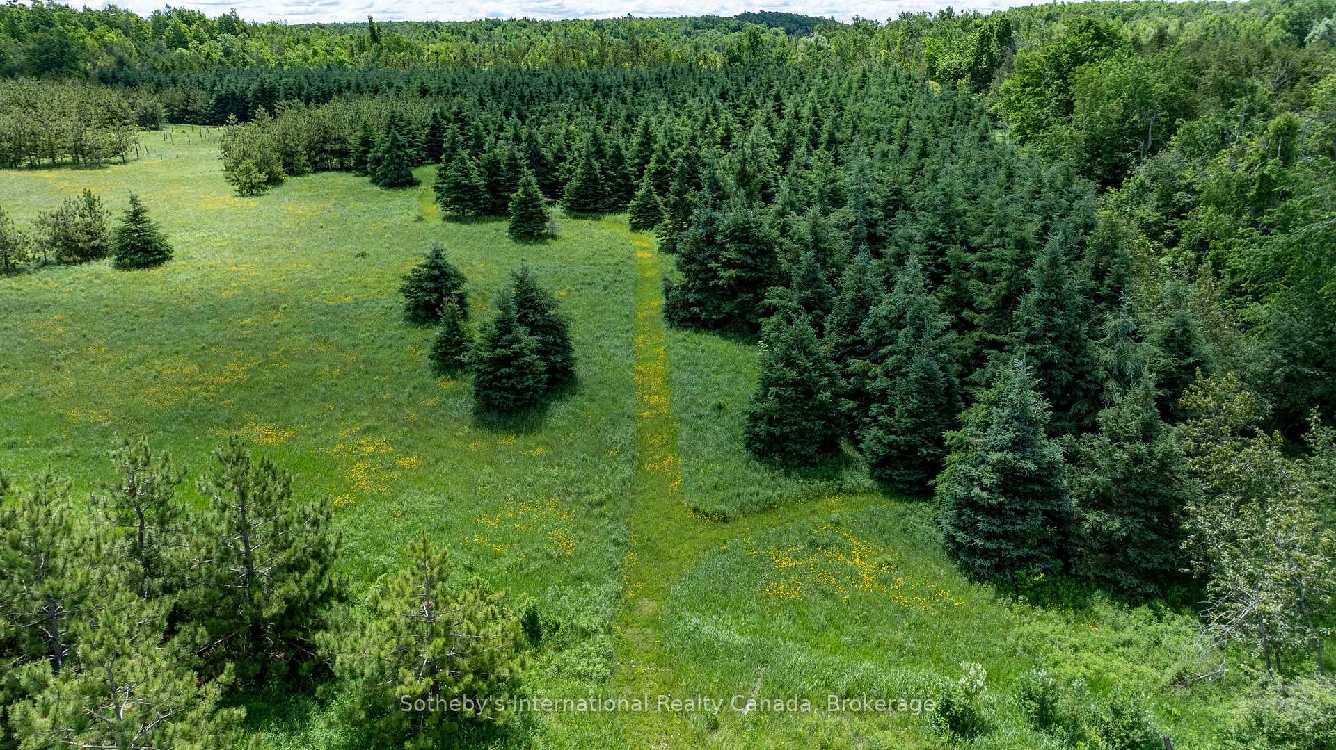 Photo 11 of Lot 14 Con 2 1st Line E EHS, Mulmur, Rural Mulmur — HOMEH