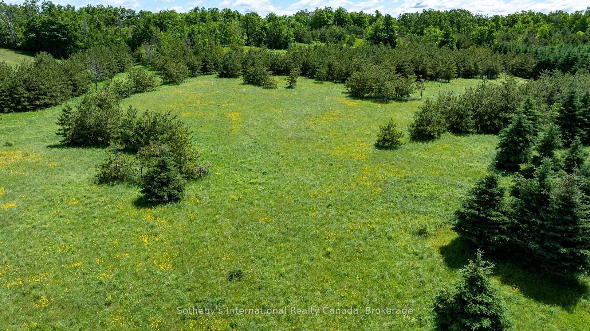 Photo 12 of Lot 14 Con 2 1st Line E EHS, Mulmur, Rural Mulmur — HOMEH