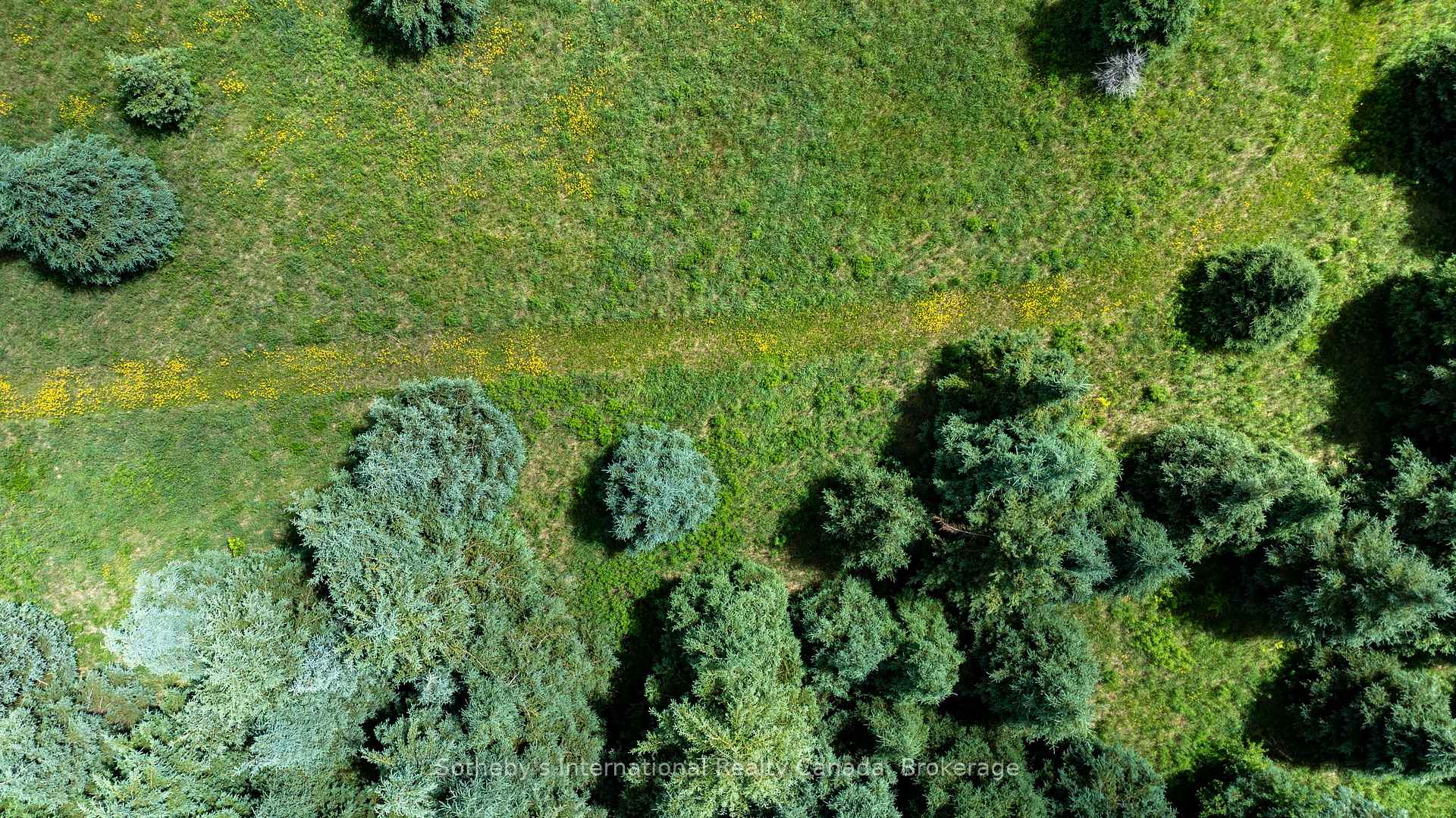 Photo 13 of Lot 14 Con 2 1st Line E EHS, Mulmur, Rural Mulmur — HOMEH