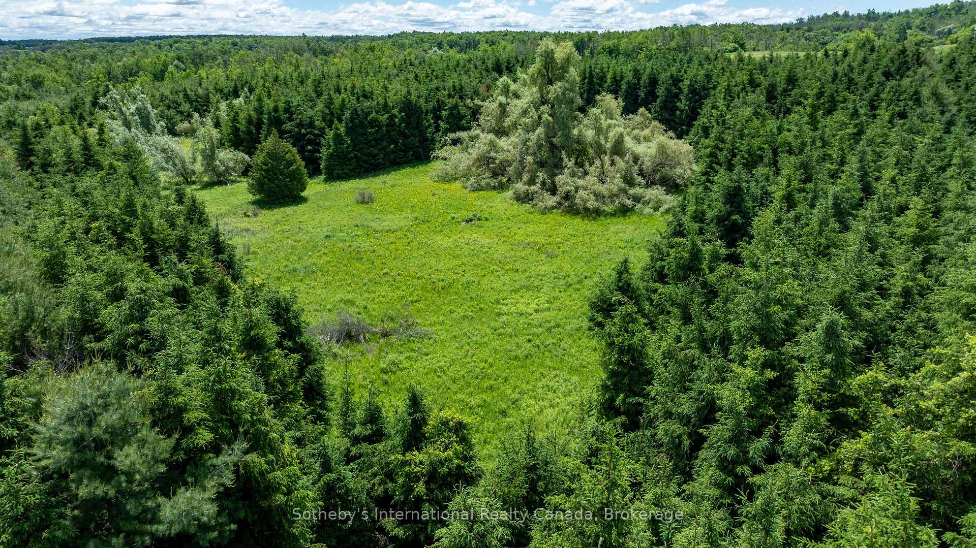 Photo 17 of Lot 14 Con 2 1st Line E EHS, Mulmur, Rural Mulmur — HOMEH
