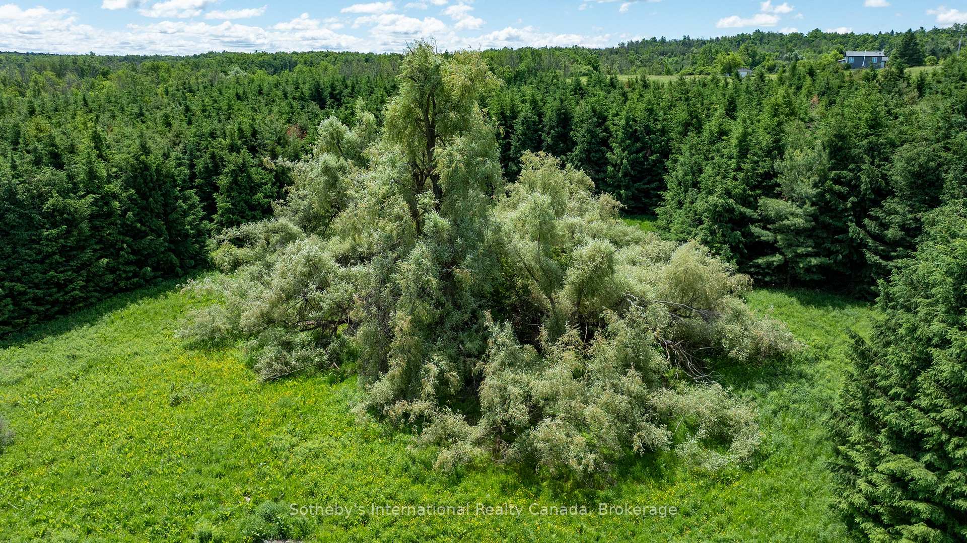 Photo 18 of Lot 14 Con 2 1st Line E EHS, Mulmur, Rural Mulmur — HOMEH