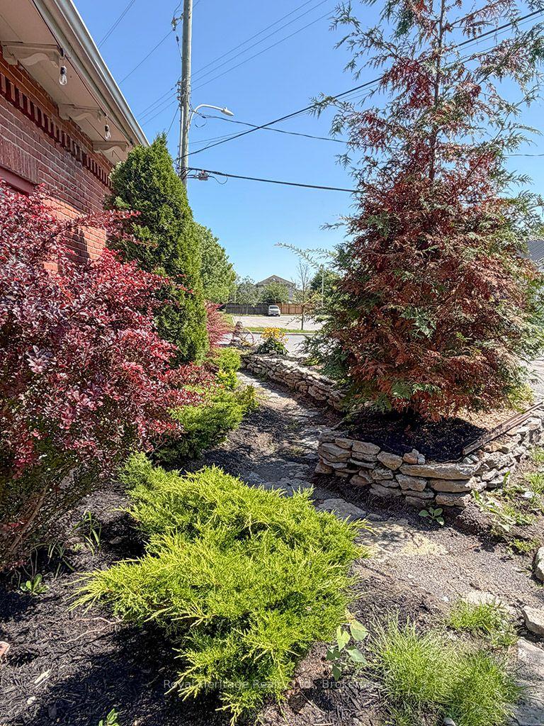 Photo 36 of 6 Willard Street, Belleville, Belleville Ward — HOMEH
