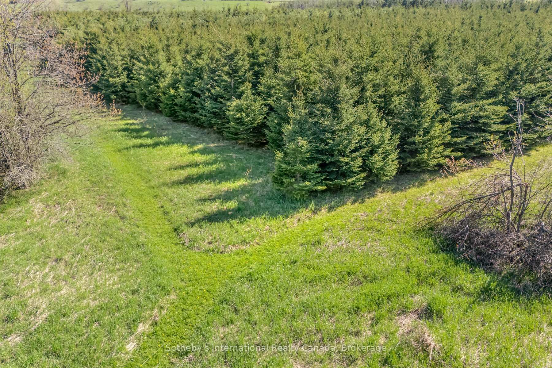 Photo 39 of 717218 1st Line E EHS E, Mulmur, Rural Mulmur — HOMEH