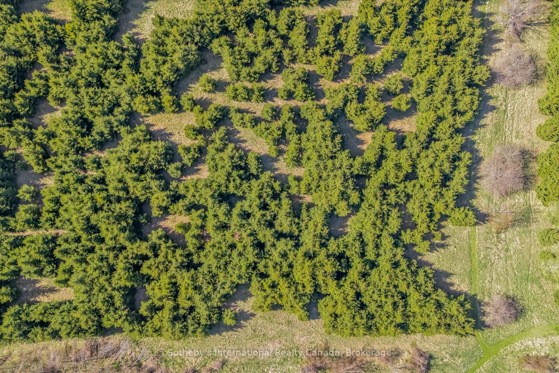 Photo 46 of 717218 1st Line E EHS E, Mulmur, Rural Mulmur — HOMEH