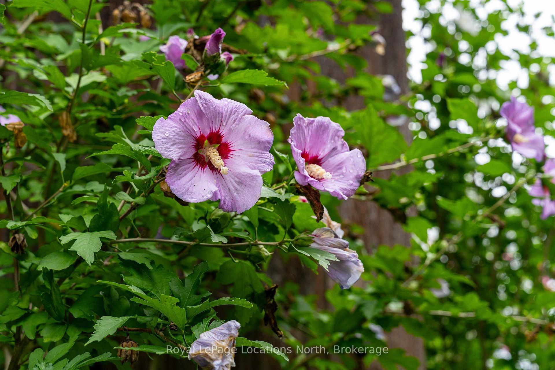 Photo 19 of 417057 Tenth Line, Blue Mountains — HOMEH