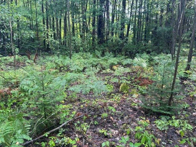 Photo 10 of 8413 10th Line, Essa, Rural Essa — HOMEH