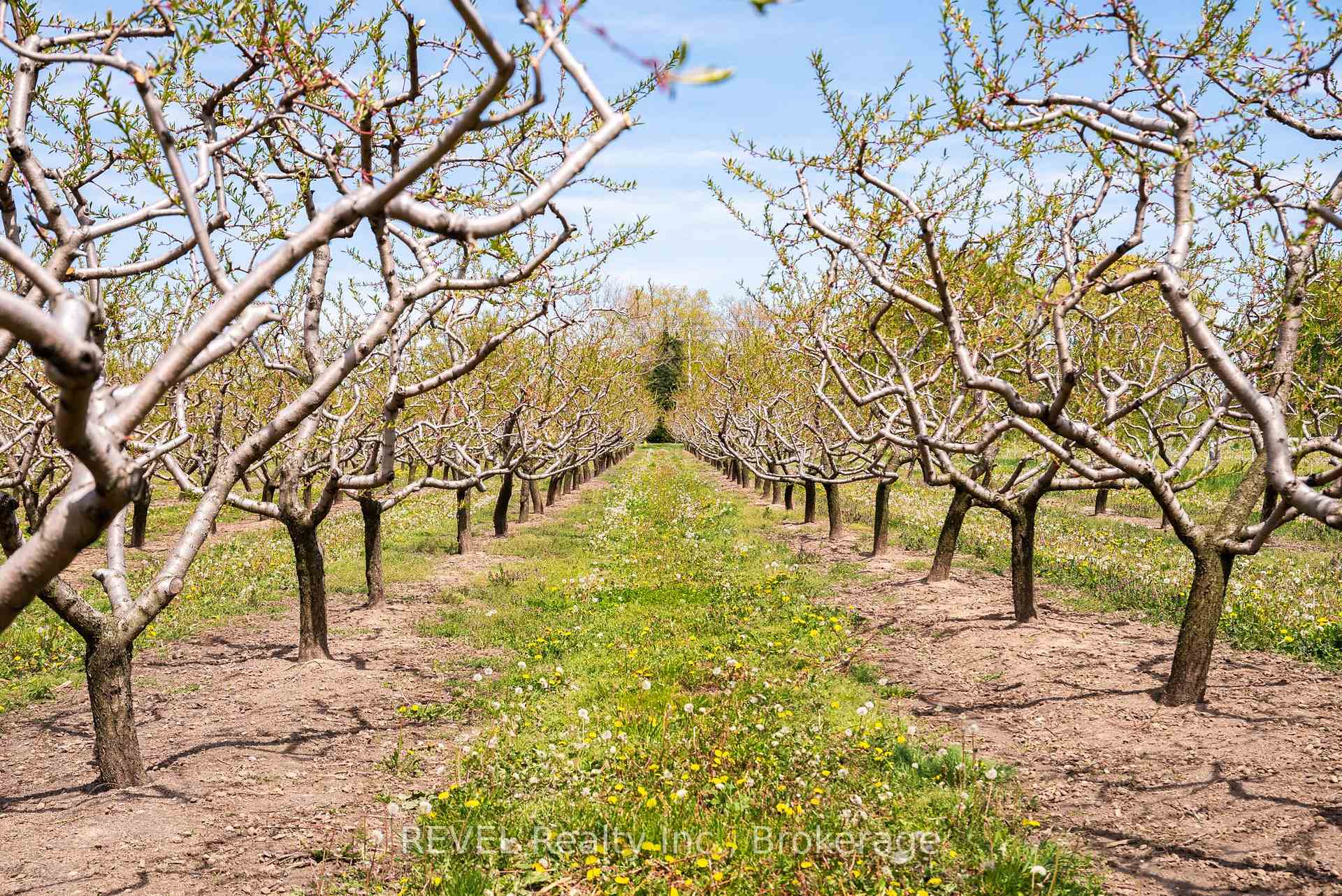 Photo 3 of 160 Read Road, St. Catharines, Port Weller — HOMEH