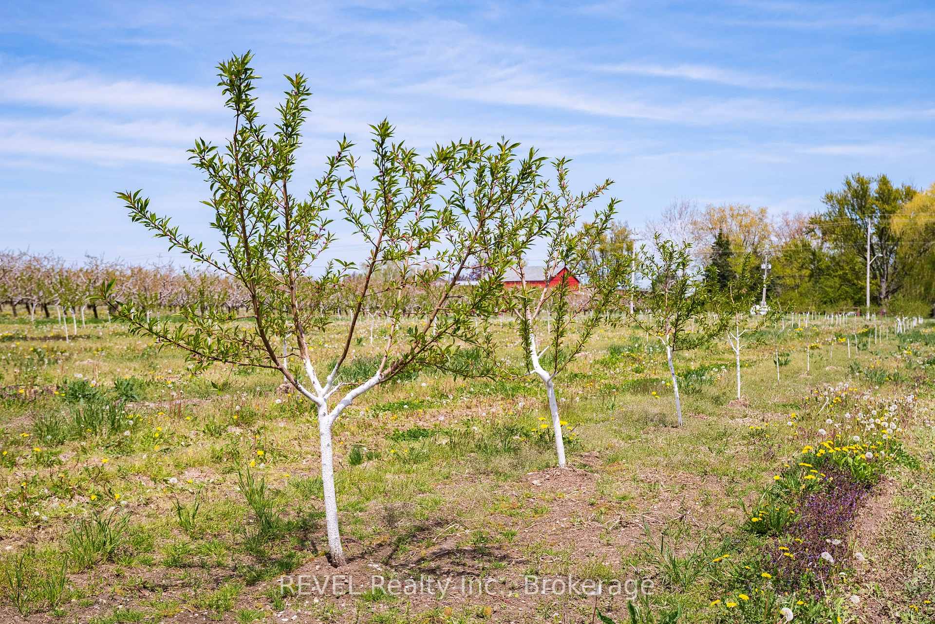 Photo 4 of 160 Read Road, St. Catharines, Port Weller — HOMEH