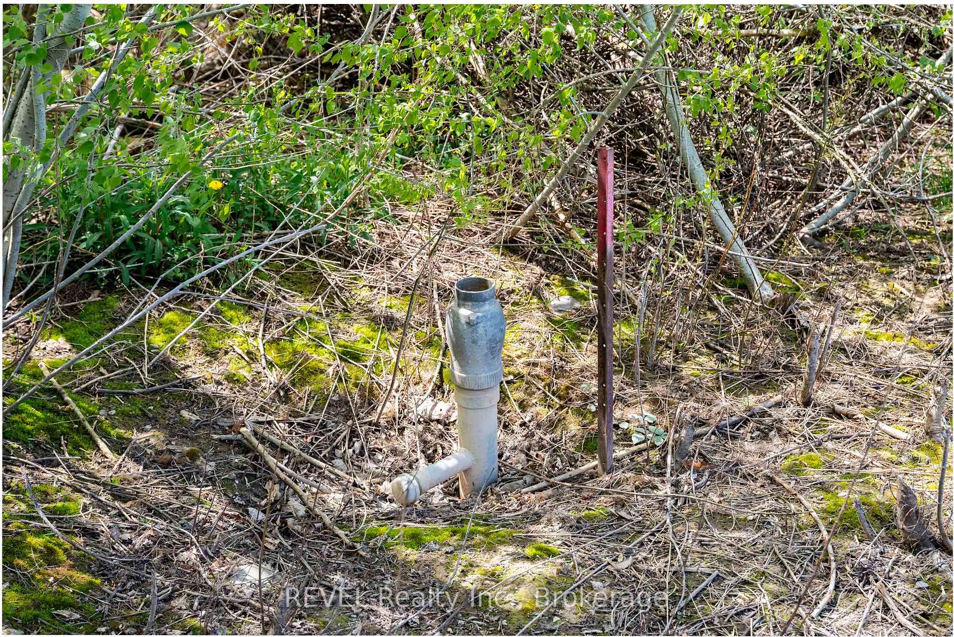Photo 9 of 160 Read Road, St. Catharines, Port Weller — HOMEH
