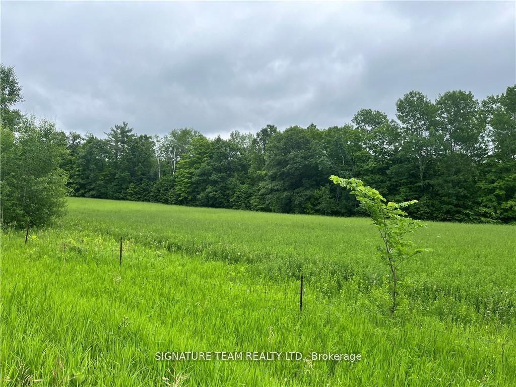 Photo of 0 Grant Settlement Road