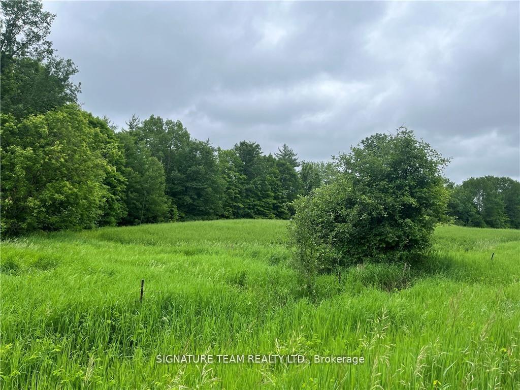 Photo 3 of Grant Settlement Road, Whitewater Region, Whitewater Region — HOMEH