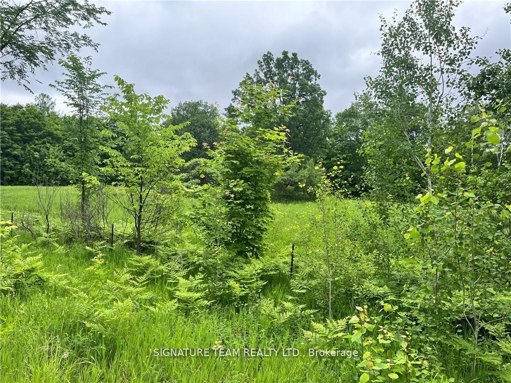 Photo 4 of Grant Settlement Road, Whitewater Region, Whitewater Region — HOMEH