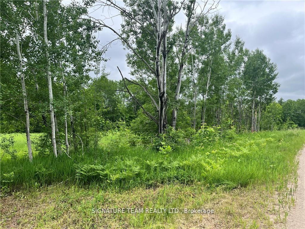 Photo 5 of Grant Settlement Road, Whitewater Region, Whitewater Region — HOMEH