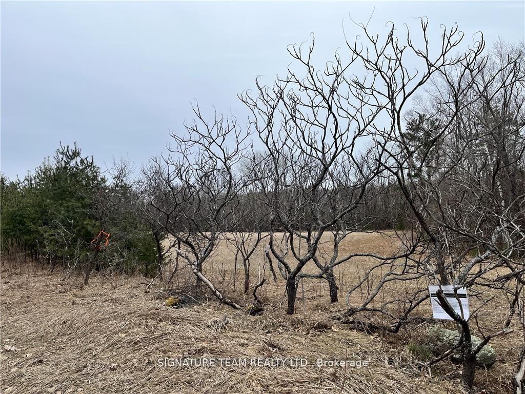 Photo 7 of Grant Settlement Road, Whitewater Region, Whitewater Region — HOMEH