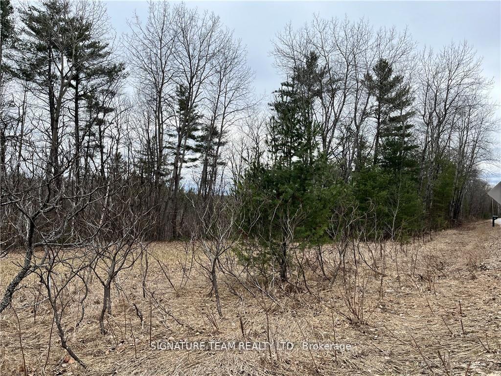 Photo 8 of Grant Settlement Road, Whitewater Region, Whitewater Region — HOMEH