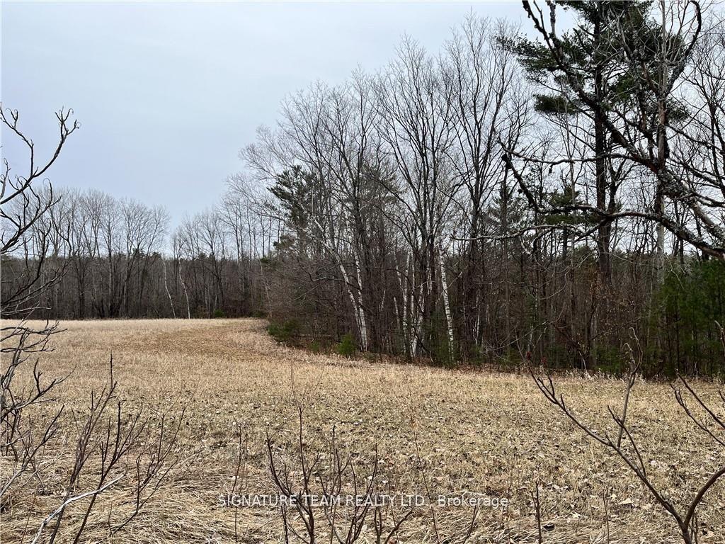 Photo 9 of Grant Settlement Road, Whitewater Region, Whitewater Region — HOMEH