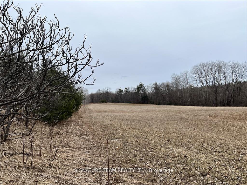 Photo 10 of Grant Settlement Road, Whitewater Region, Whitewater Region — HOMEH