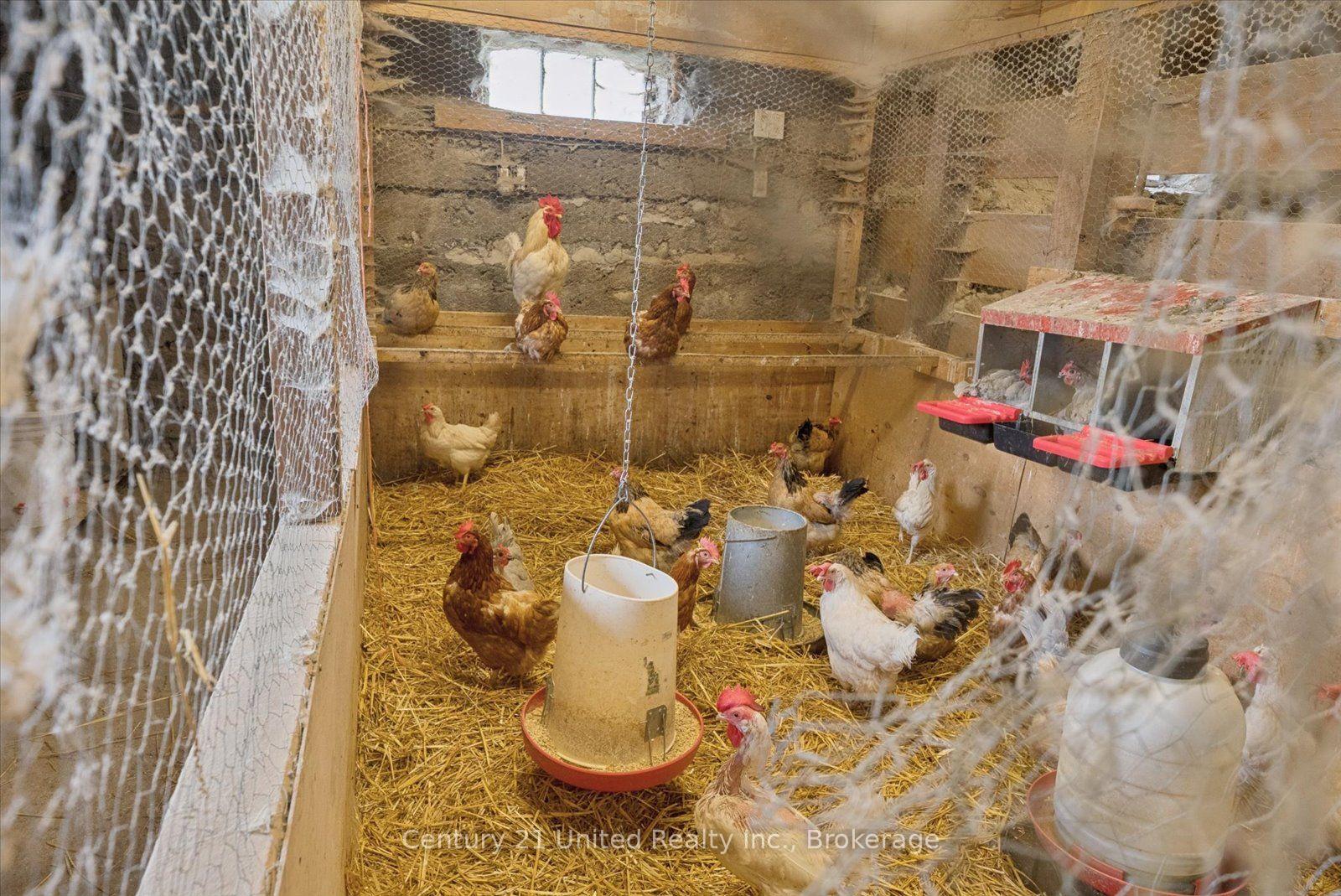 Photo 42 of 15710 County Rd 29, Brighton, Rural Brighton — HOMEH