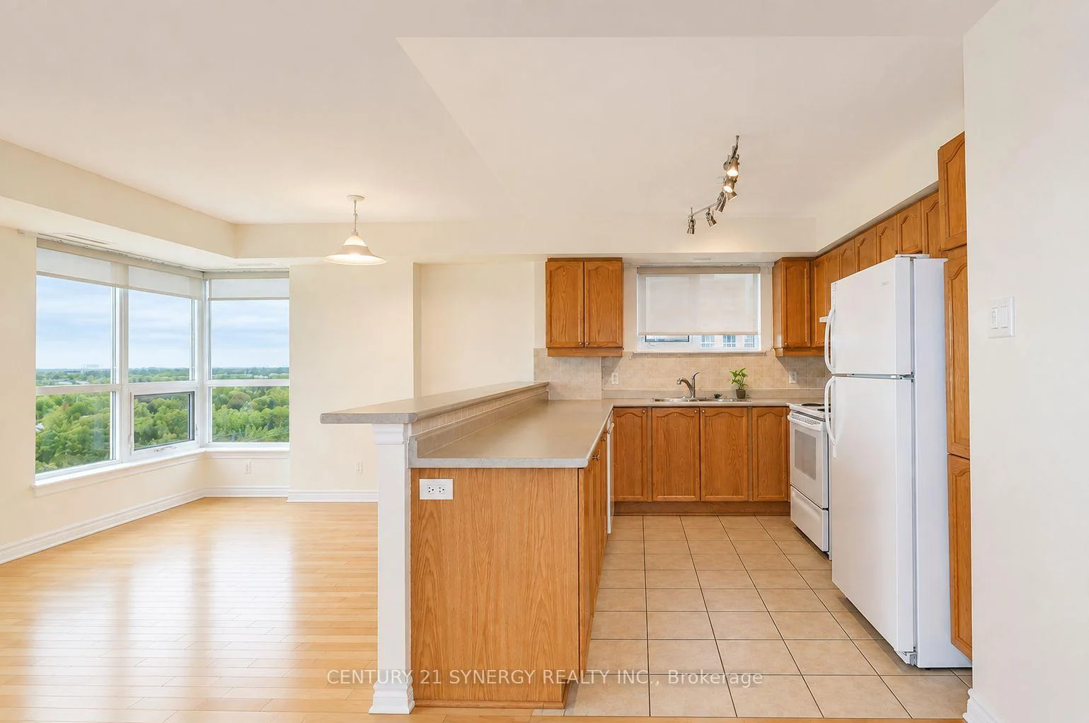 Photo 50 of Unit 909, 120 Grant Carman Drive, Ottawa, Borden Farm/Stewart Farm/Carleton Heights/Parkwood Hills — HOMEH