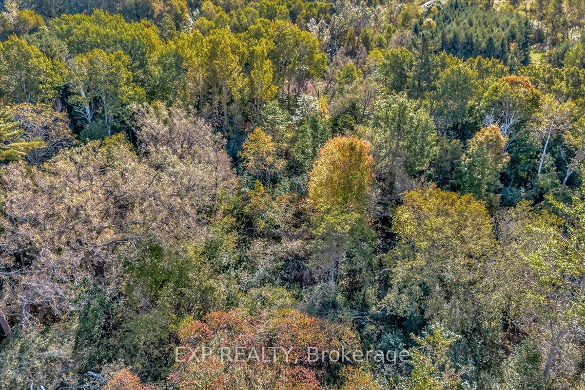 Photo 9 of County Road 2, Cramahe, Rural Cramahe — HOMEH