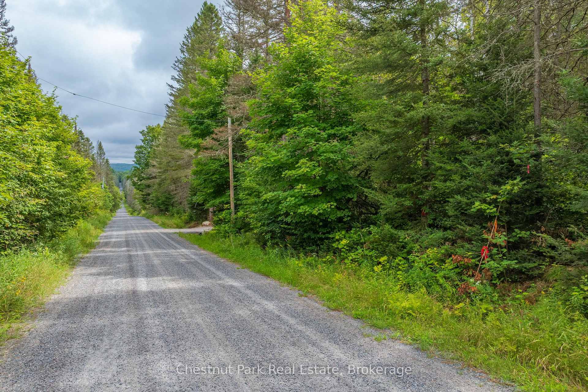 Photo of 00 Gibbons Road