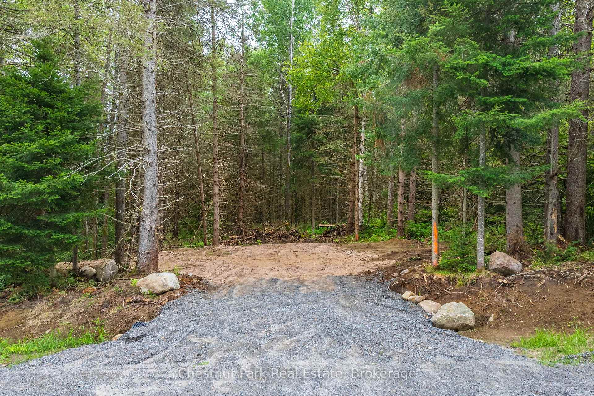 Photo 3 of 00 Gibbons Road, Strong — HOMEH
