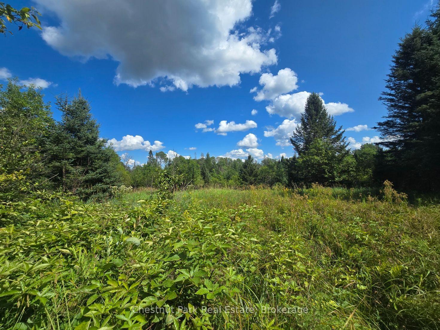 Photo 9 of 00 Gibbons Road, Strong — HOMEH