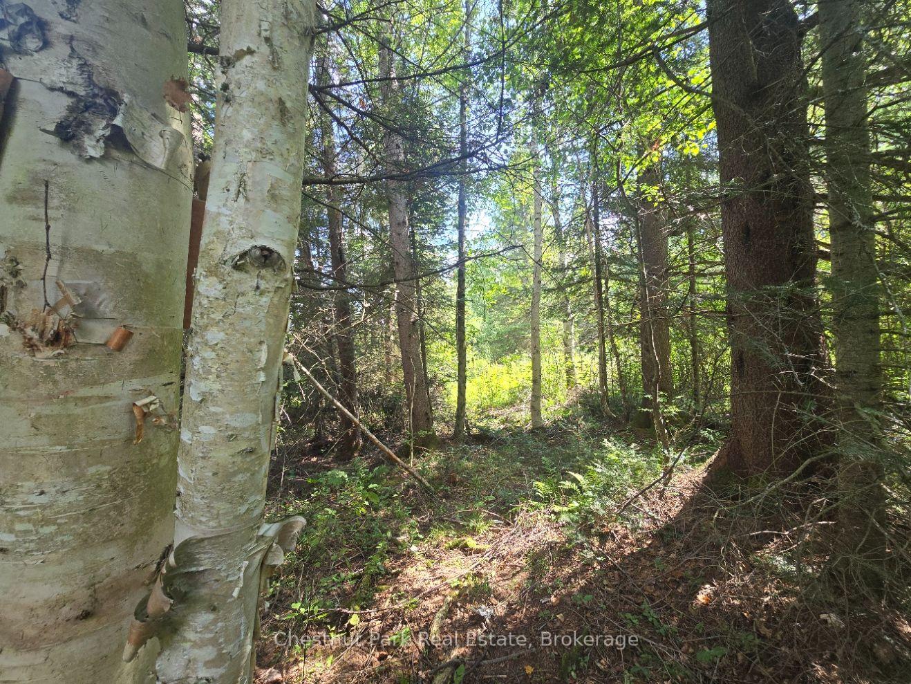 Photo 11 of 00 Gibbons Road, Strong — HOMEH
