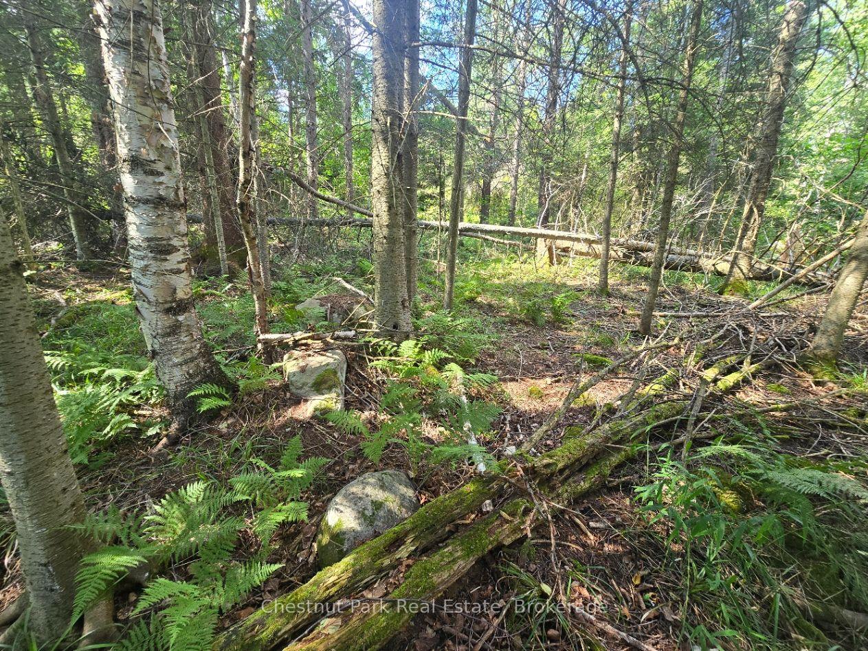Photo 12 of 00 Gibbons Road, Strong — HOMEH