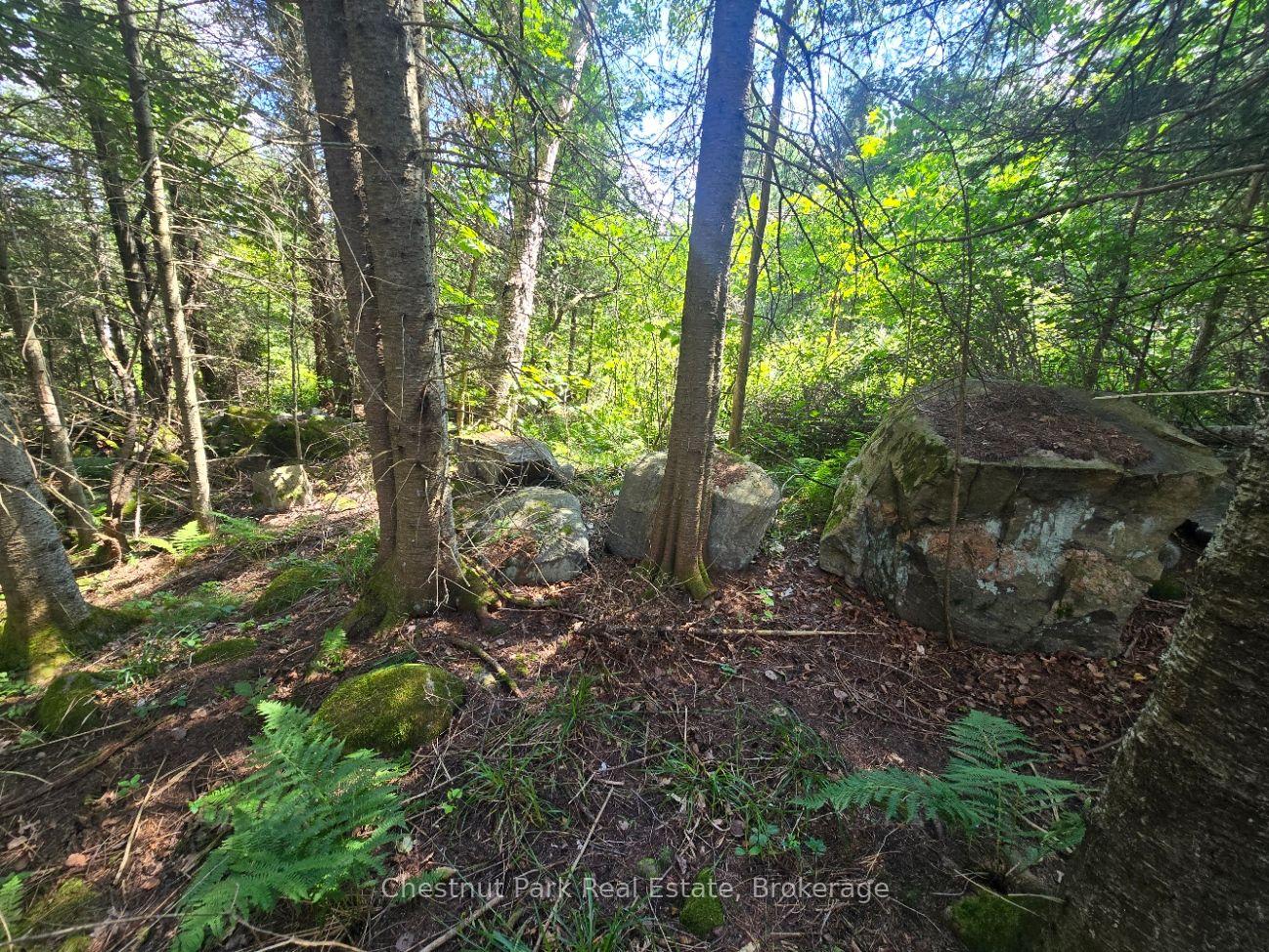 Photo 15 of 00 Gibbons Road, Strong — HOMEH