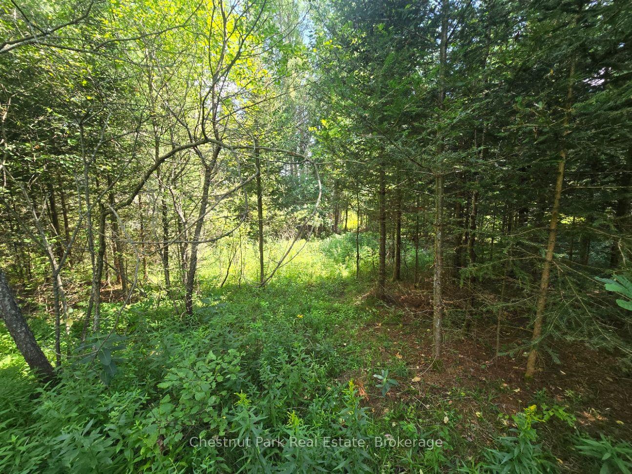 Photo 17 of 00 Gibbons Road, Strong — HOMEH