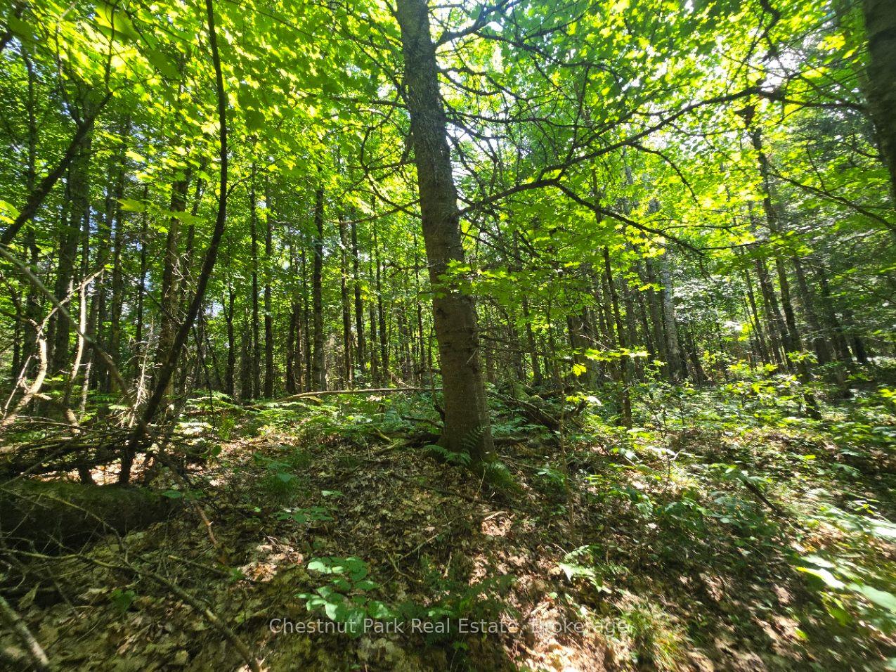 Photo 20 of 00 Gibbons Road, Strong — HOMEH