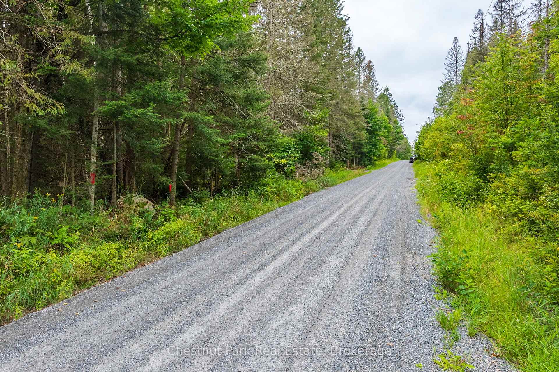 Photo 39 of 00 Gibbons Road, Strong — HOMEH