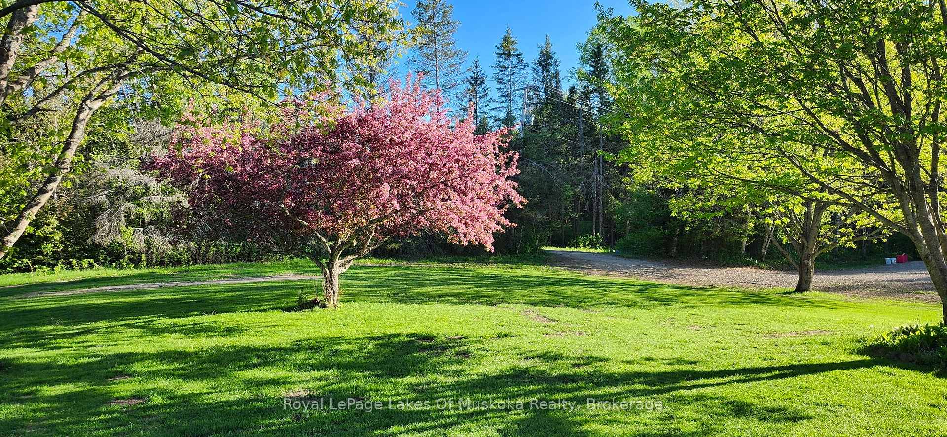 Photo 4 of 341 Woods Road, Armour — HOMEH
