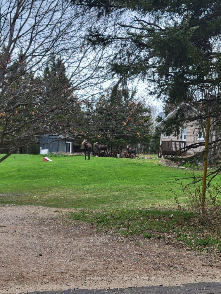 Photo 60 of 341 Woods Road, Armour — HOMEH