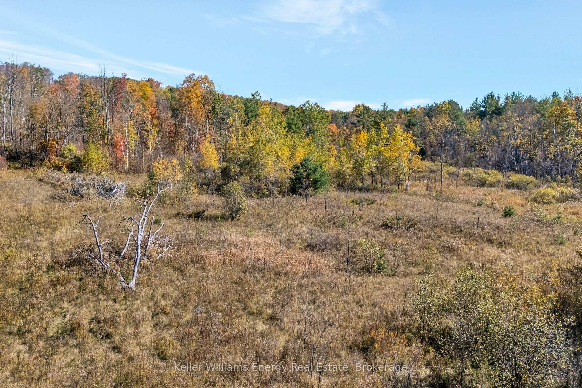 Photo 12 of 14794 Highway 62, Madoc — HOMEH