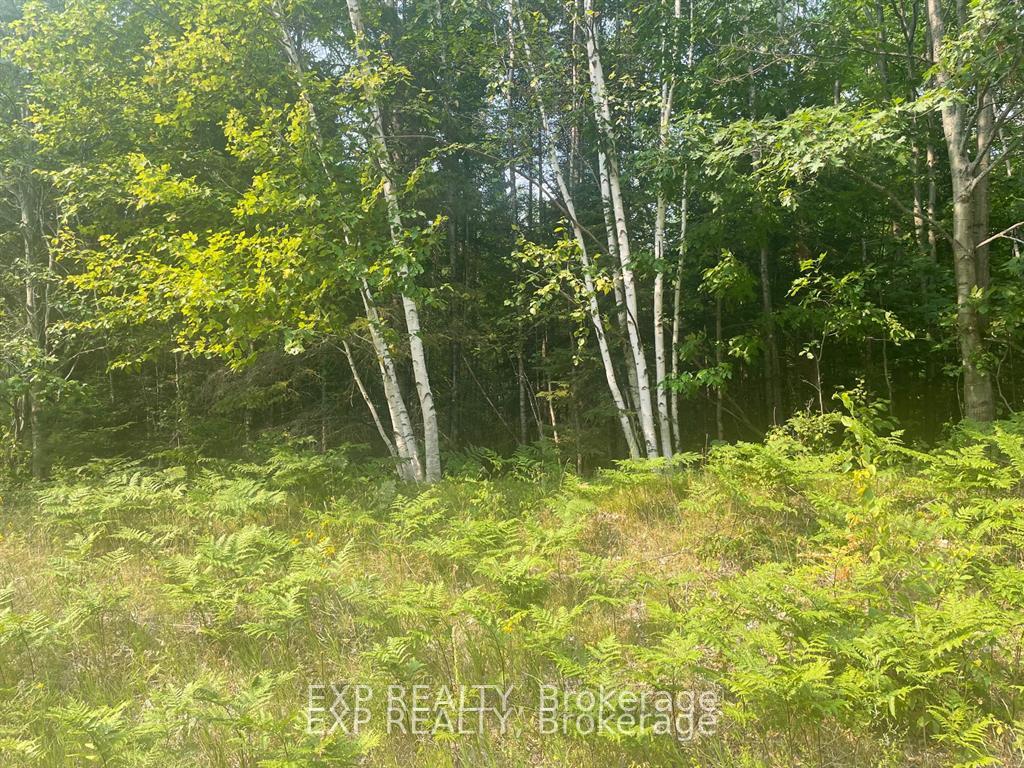 Photo of 1571 Schutt Road