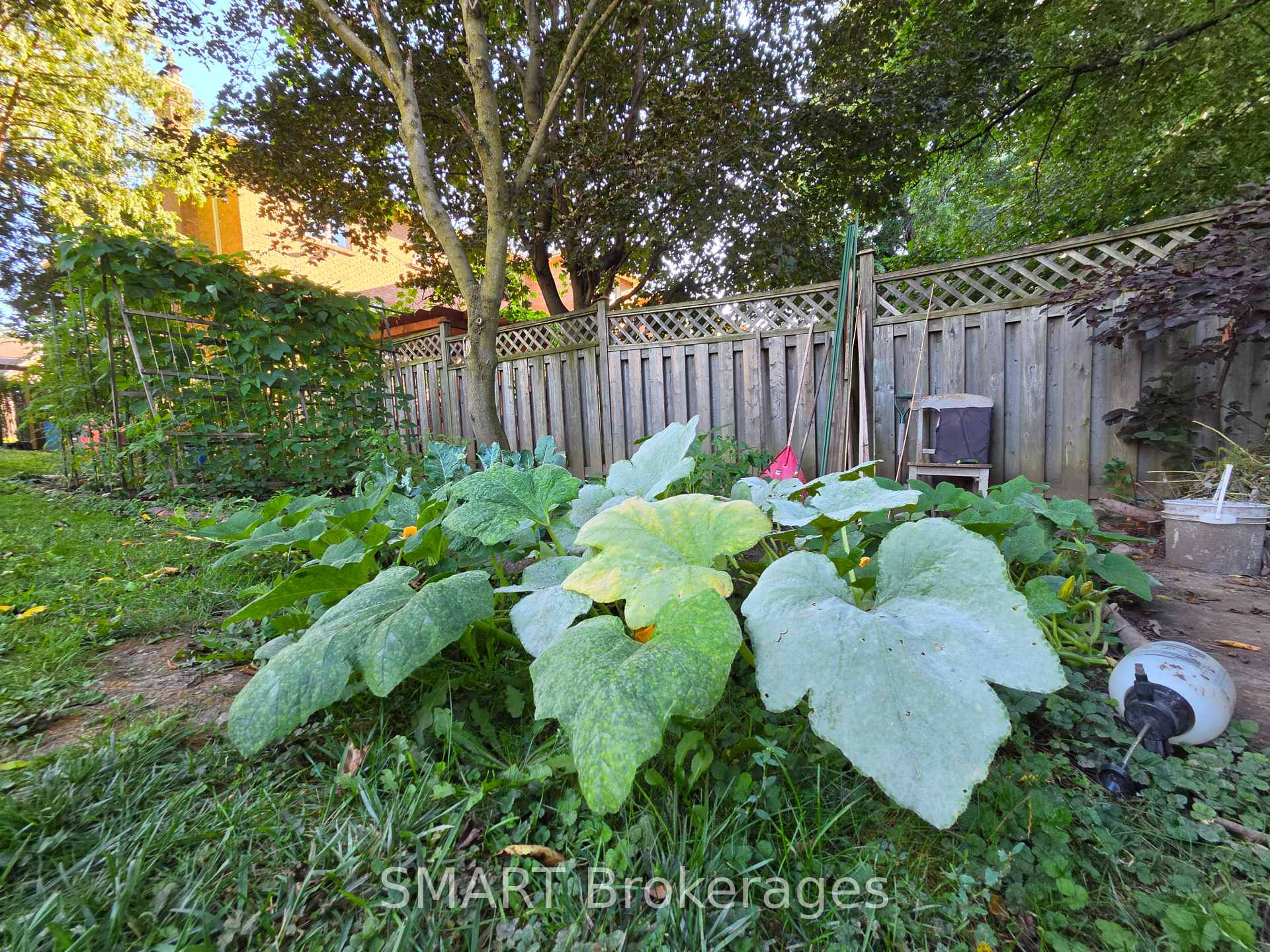 Photo 42 of 482 Ruth Avenue, North York, Newtonbrook East — HOMEH