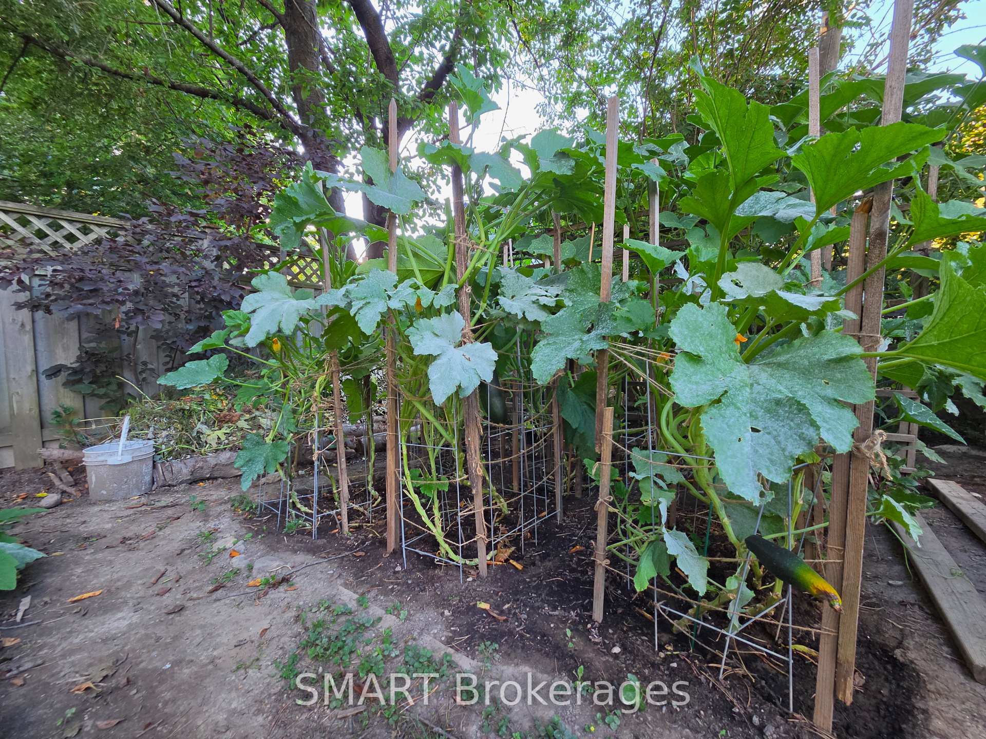 Photo 43 of 482 Ruth Avenue, North York, Newtonbrook East — HOMEH