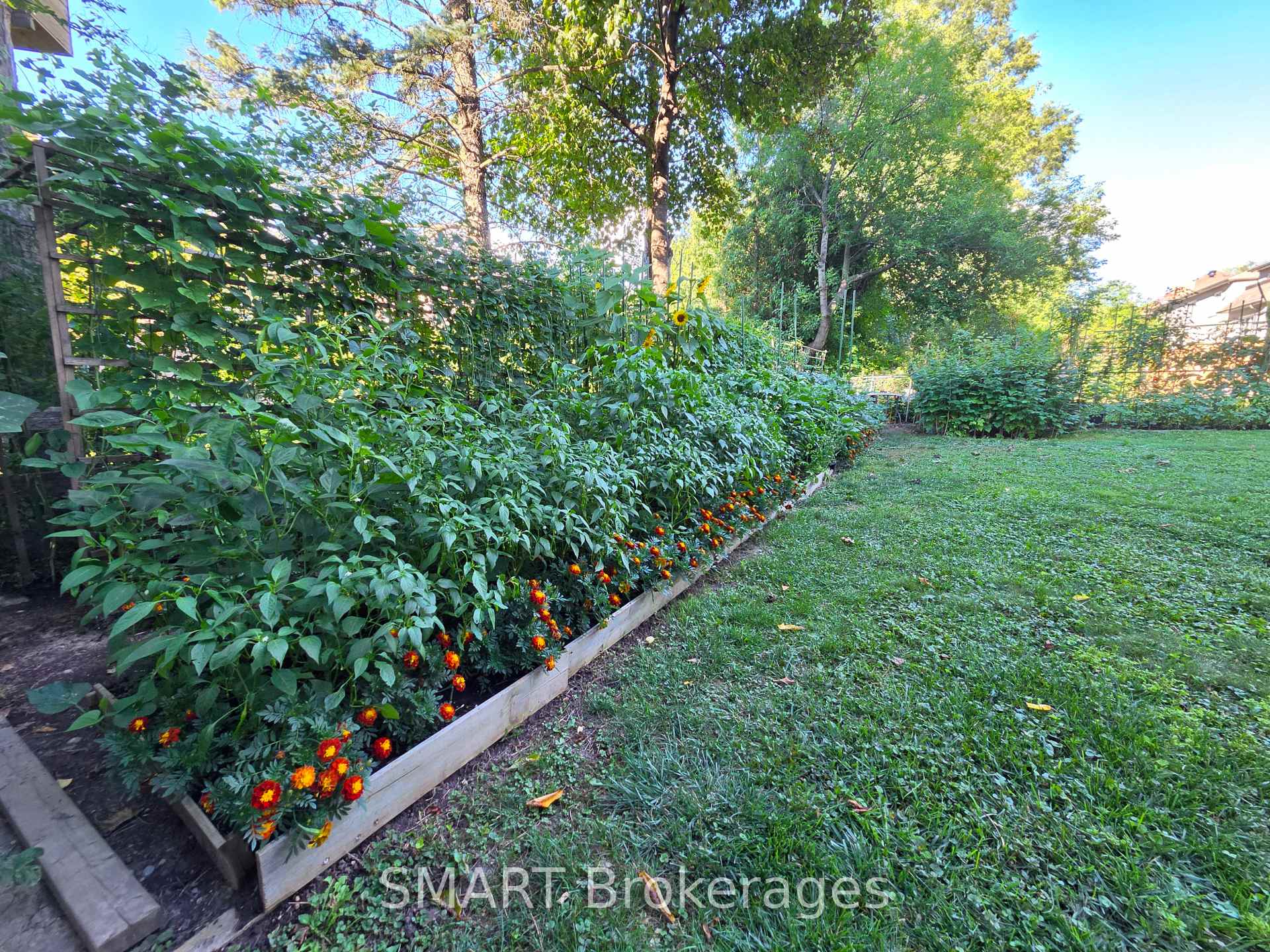 Photo 45 of 482 Ruth Avenue, North York, Newtonbrook East — HOMEH