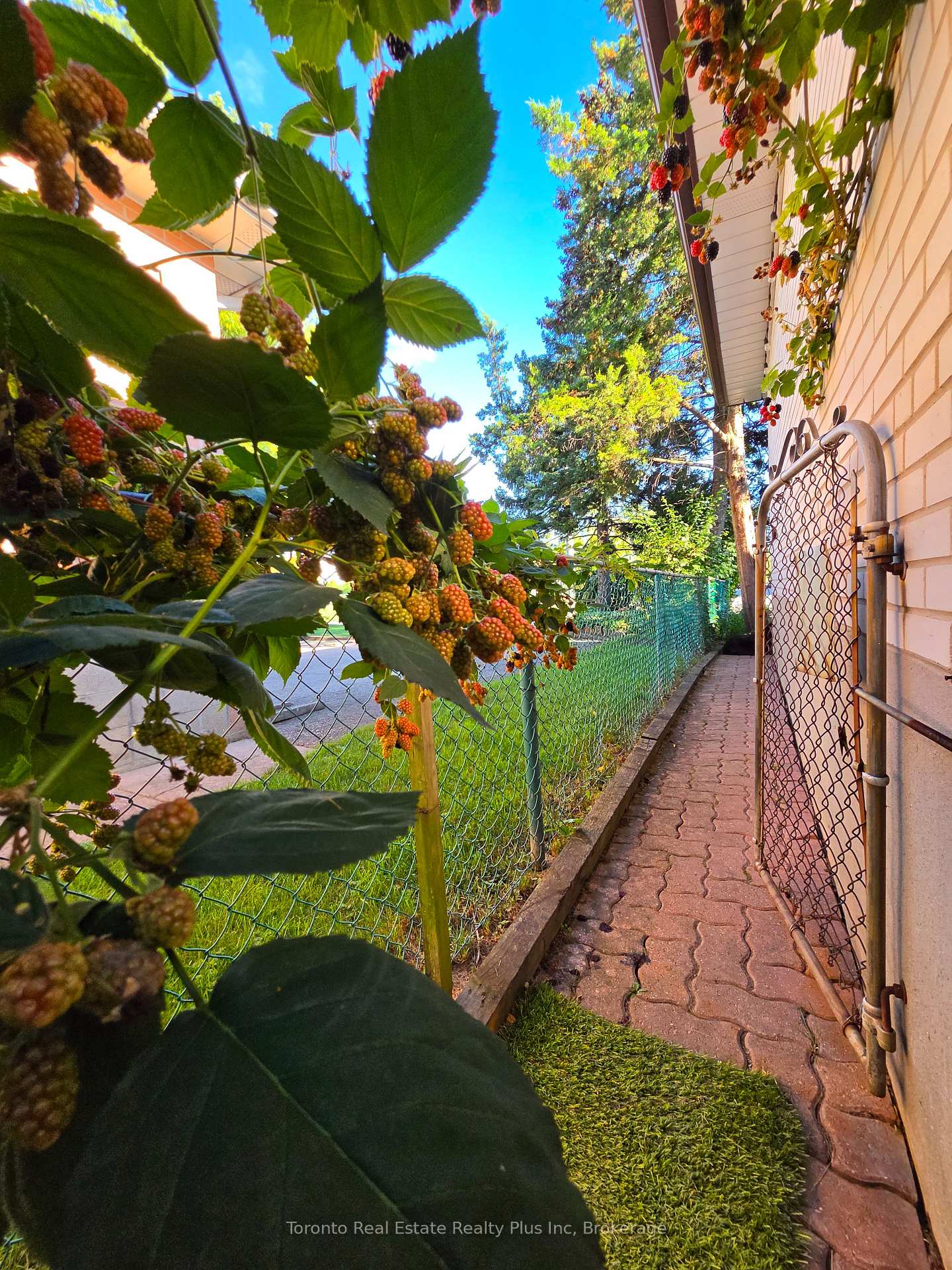 Photo 55 of 482 Ruth Avenue, North York, Newtonbrook East — HOMEH